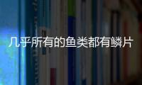 几乎所有的鱼类都有鳞片猜一猜鳞片是鱼的什么